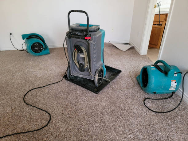 Best Commercial water damage restoration  in Sullivan City, TX