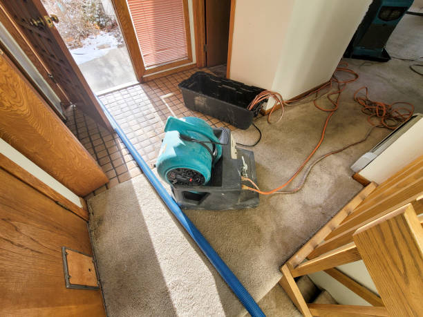 Best Commercial water damage restoration  in Sullivan City, TX