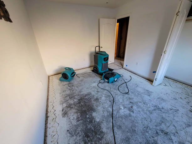  Sullivan City, TX Water damage restoration Pros