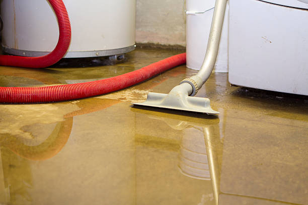 Best Water damage restoration near me  in Sullivan City, TX